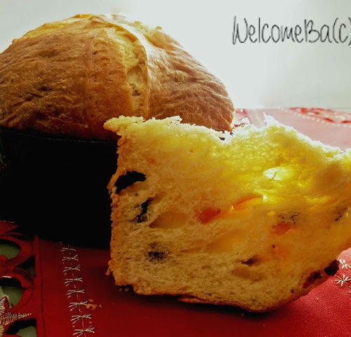 Panettone Moderno di Massari (impasto a mano)