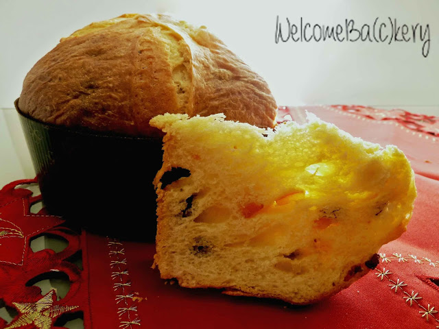 Panettone Moderno di Massari (impasto a mano)