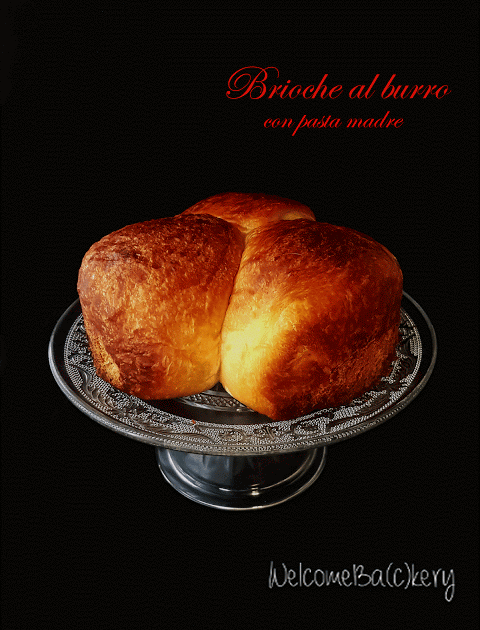 Brioche al burro a lievitazione naturale